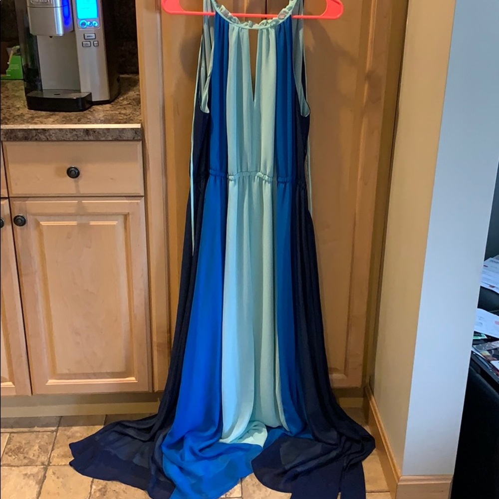 NWT Eva Mendez Gown